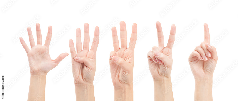 Counting woman hands (1 to 5) isolated on white background Counting woman hands (1 to 5) isolated on white background