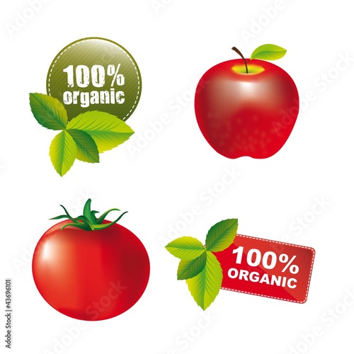 natural vector