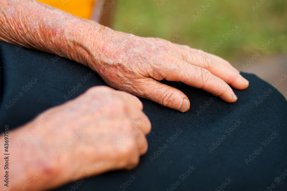 Fototapeta premium Elderly hands