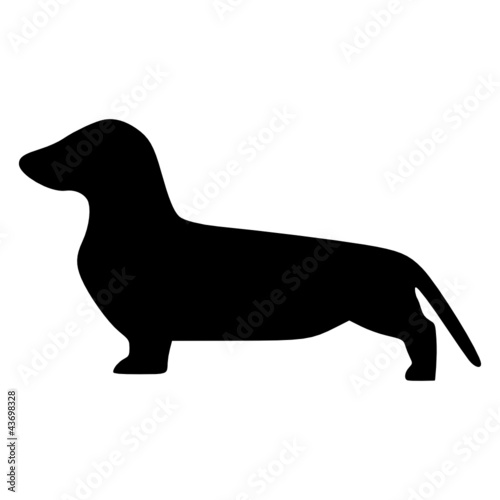 Dackel