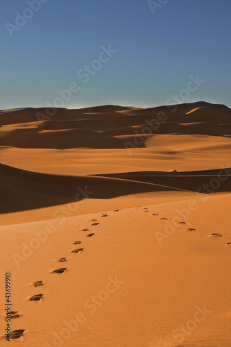 Footsteps in the Sahara desert - Niger