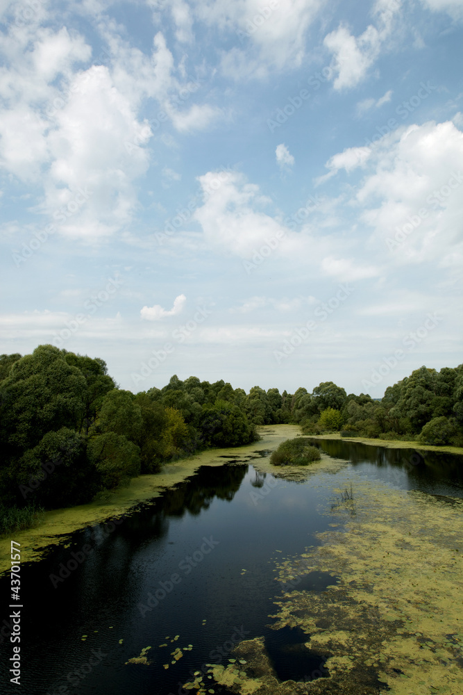 Landscape - meadow, the blue sky and river Landscape - meadow, the blue sky and river