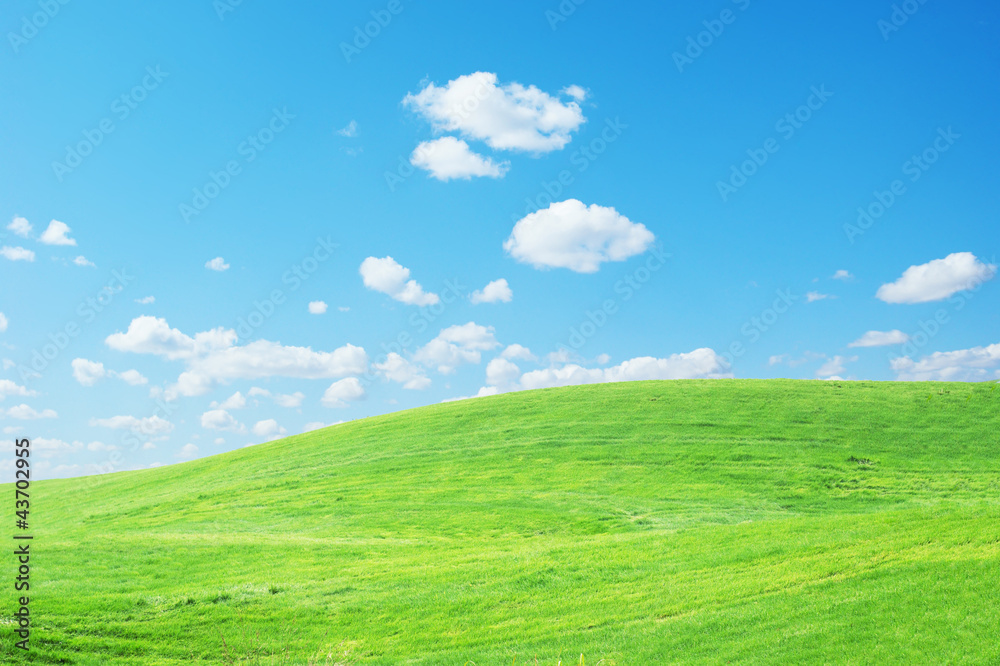 Grass sky