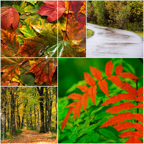 autumn landscape with brigh...
