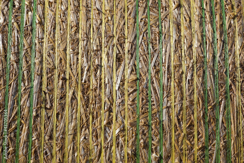 Fototapeta straw bale close up