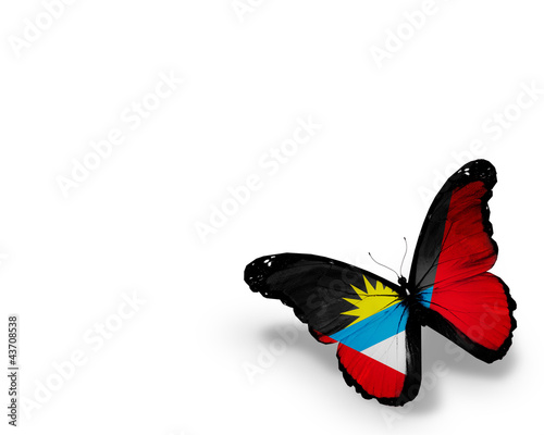 Antigua and Barbuda flag butterfly, isolated on white background