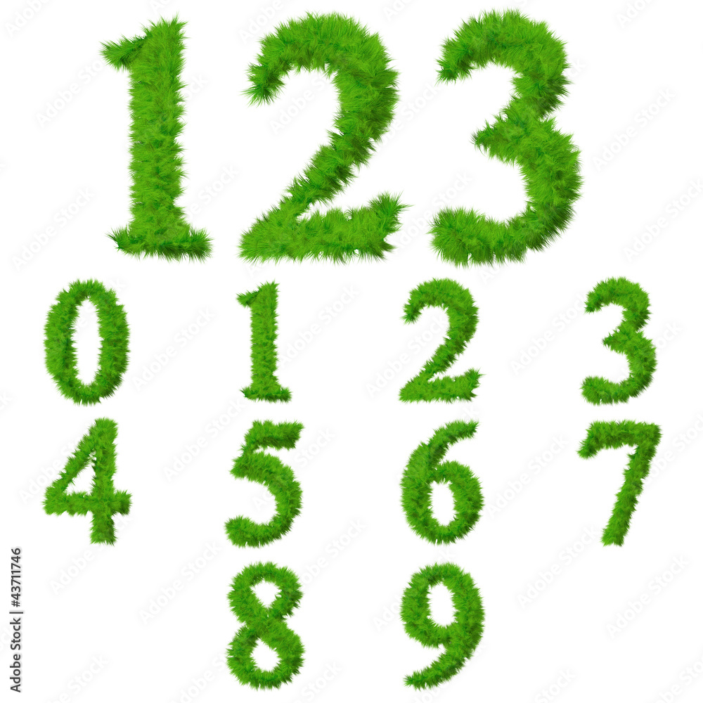 High resolution conceptual grass fonts set