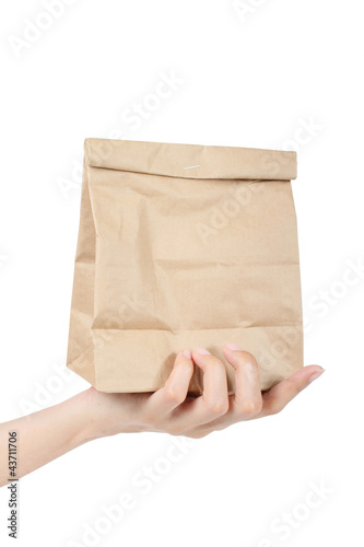 Hand holding recycle brown paper bag, Concept