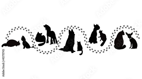 animals cats and dogs traces of the vector