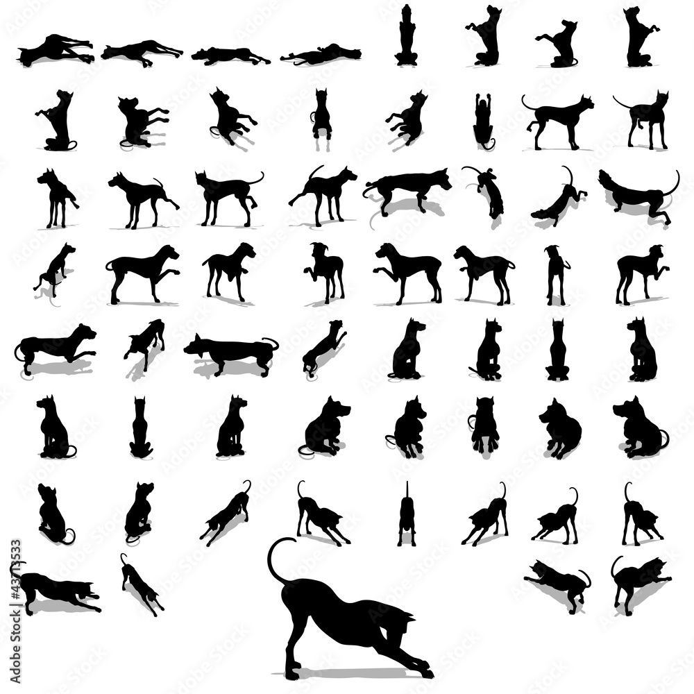 High resolution conceptual collection of black dog silhouette