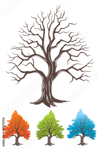 vector tree