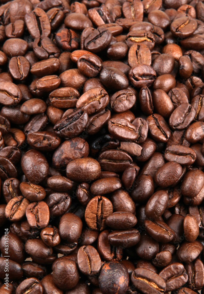 Fototapeta premium Coffee Beans.