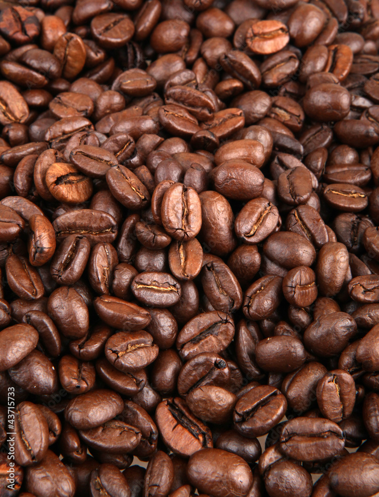 Coffee Beans. Coffee Beans.