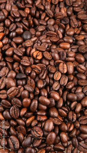 Coffee Beans.