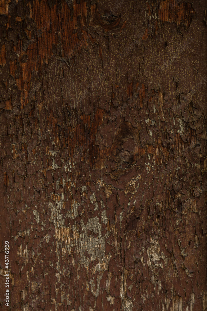 Obraz premium Verwittertes Holz