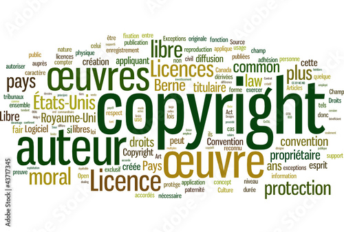 Copyright (français)