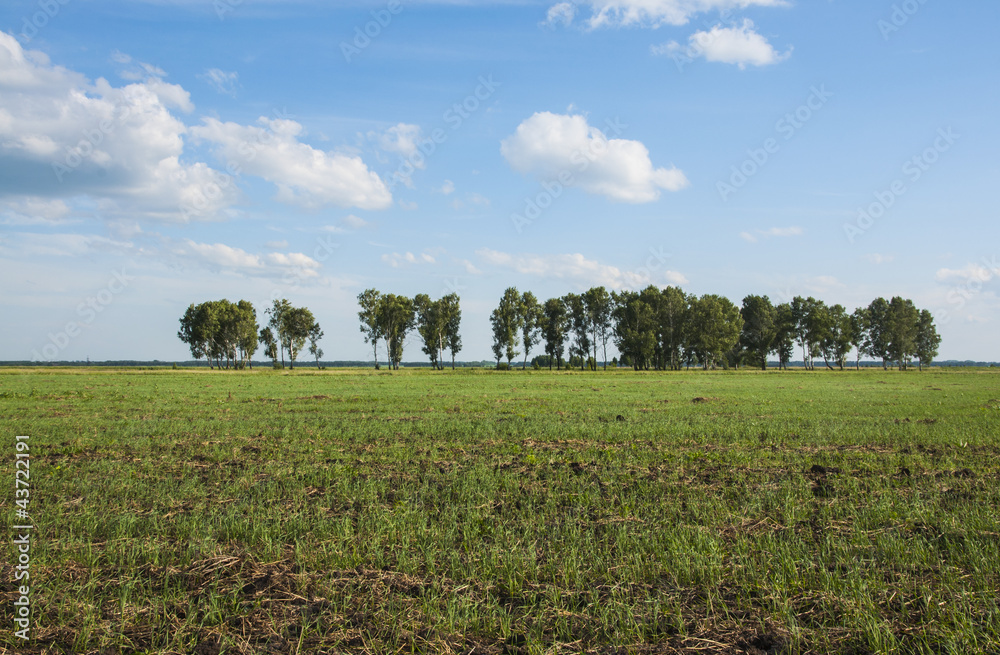 Obraz premium Степь в Сибири