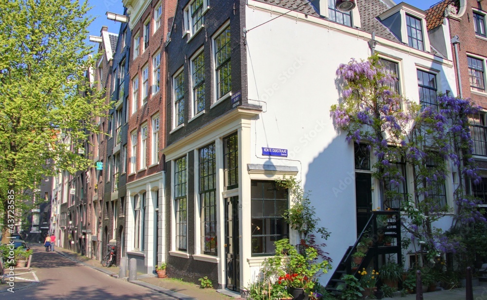Fototapeta premium maison d'amsterdam