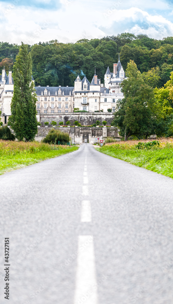 Obraz premium Chateau d'Usse, France.