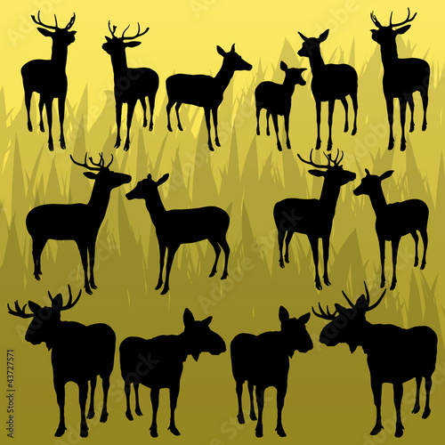 Deer and moose horned hunting trophy animals illustration backgr