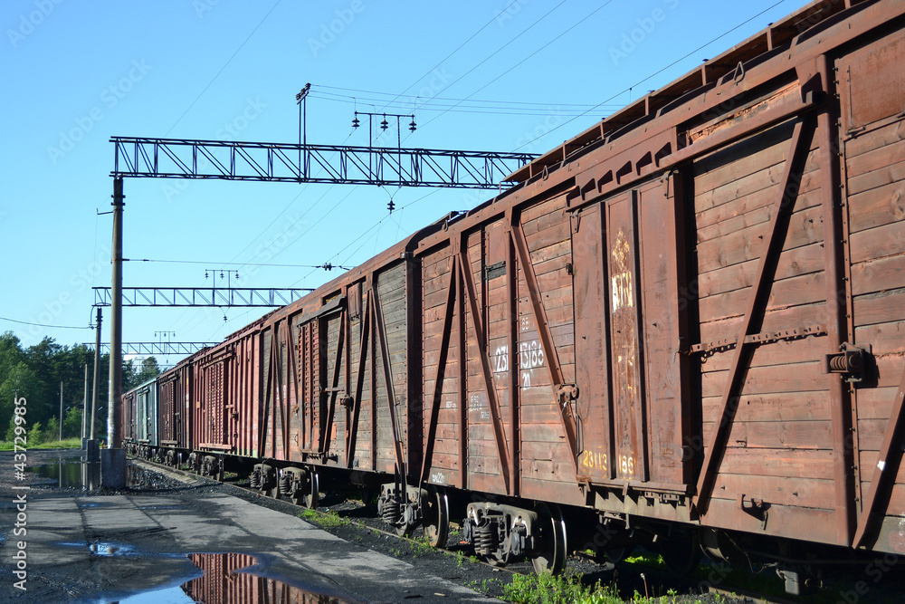 Obraz premium Cargo train