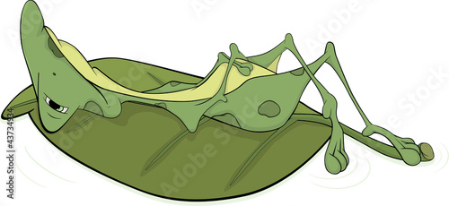Green big frog. Cartoon