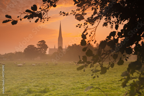 Salisbury cathedral at dawn