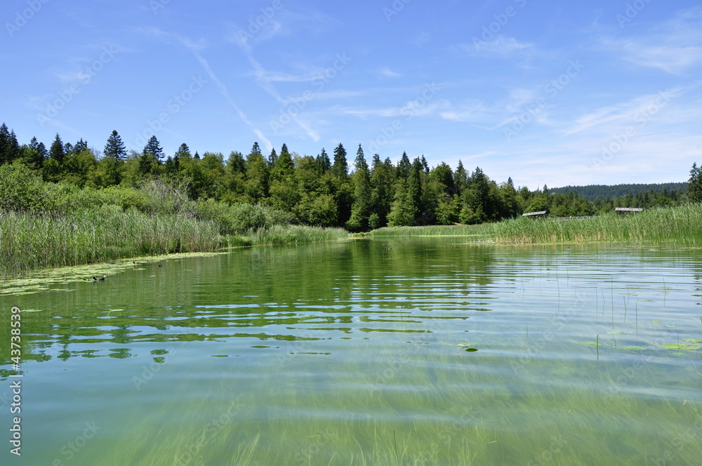 Fototapeta premium Lac de Saint-Point en Franche-Comté.