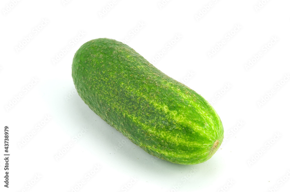 Gurke