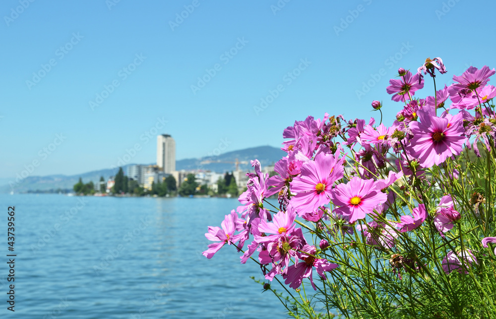 custom made wallpaper toronto digitalMontreux, Switzerland