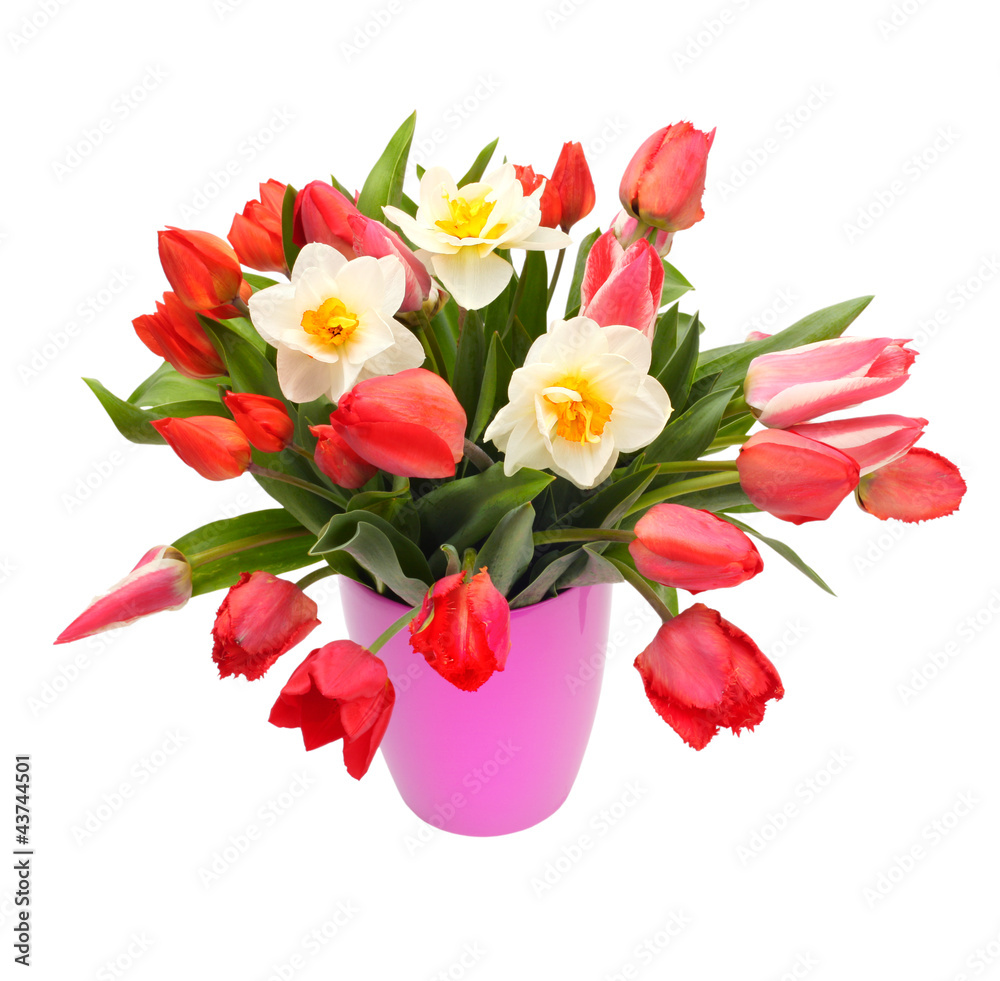 bouquet of tulips and narcissus flowers