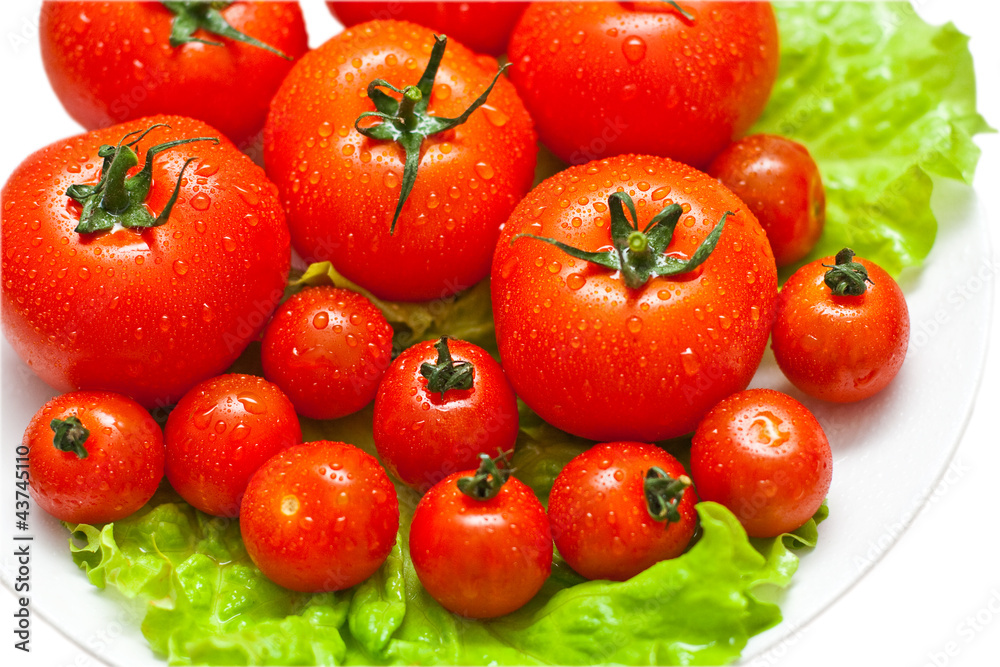 Fototapeta premium tomatoes over white