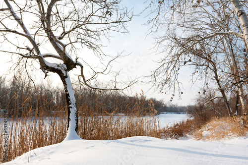 winter scene photo