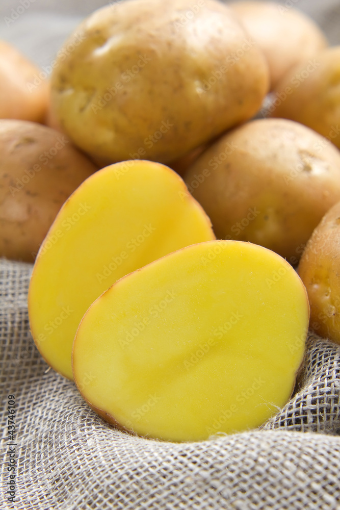 Potato Potato