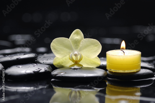 spa scene -burning spa candle with orchid and stones