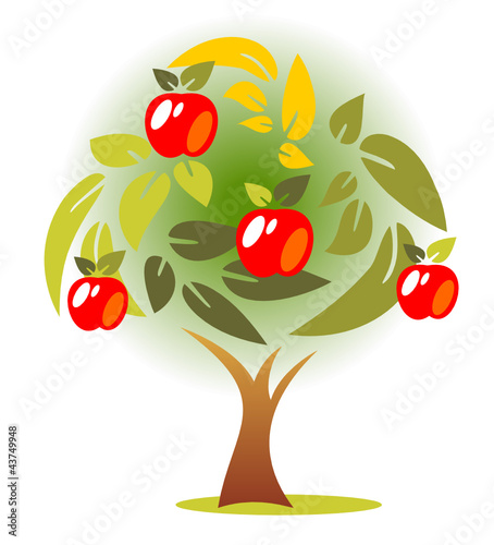 autumn apple tree