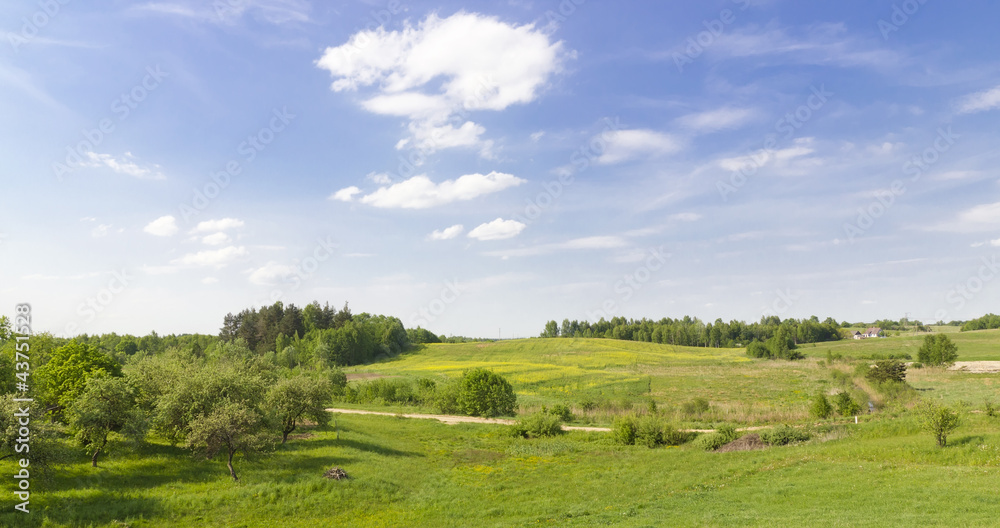 Green rural summer panoramic landscape