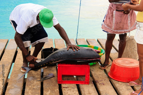 Fresh fish and fisherman in Santa Maria, Sal Island, Cape Verde