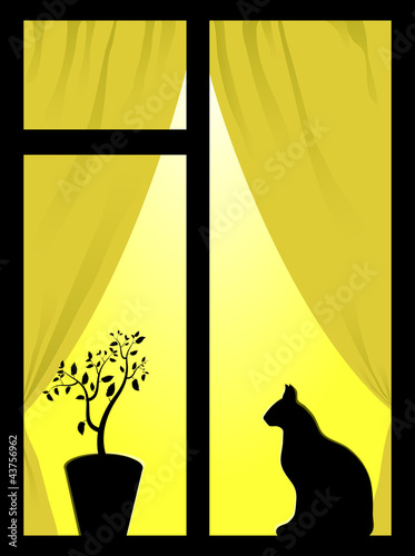 Window with yellow light, plant and cat
