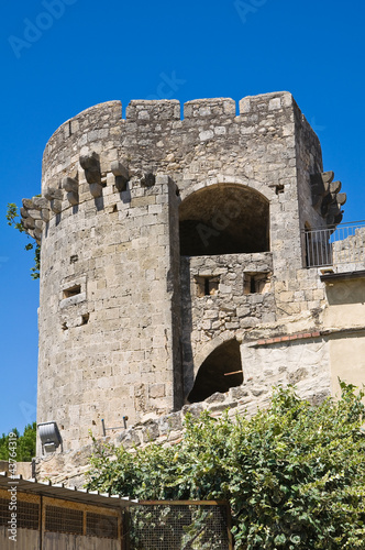 Tower of Matilde of Canossa. Tarquinia. Lazio. Italy. © Mi.Ti.