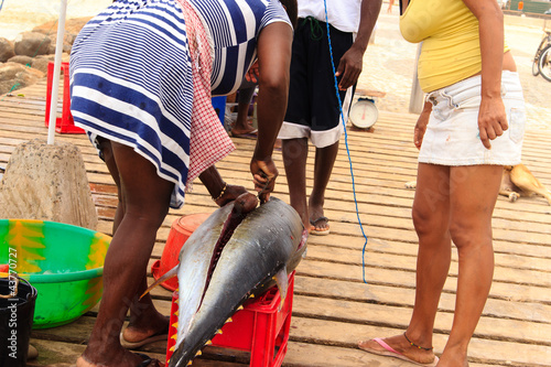 Fresh fish and fisherman in Santa Maria, Sal Island, Cape Verde