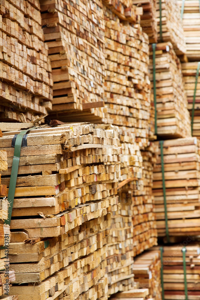 stack of timber wood stack of timber wood