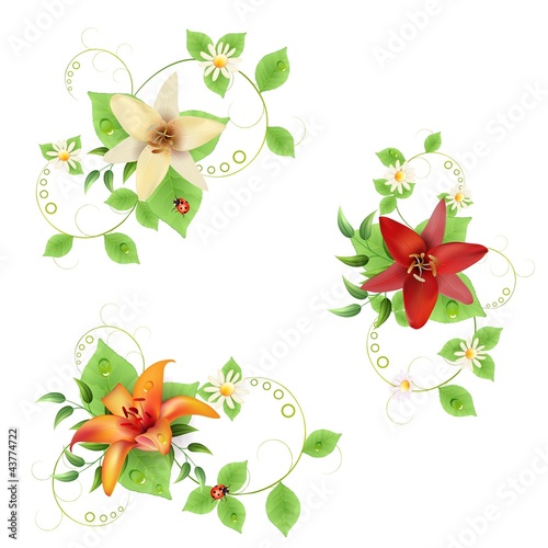 Fototapeta Naklejka Na Ścianę i Meble -  Flowers bouquet