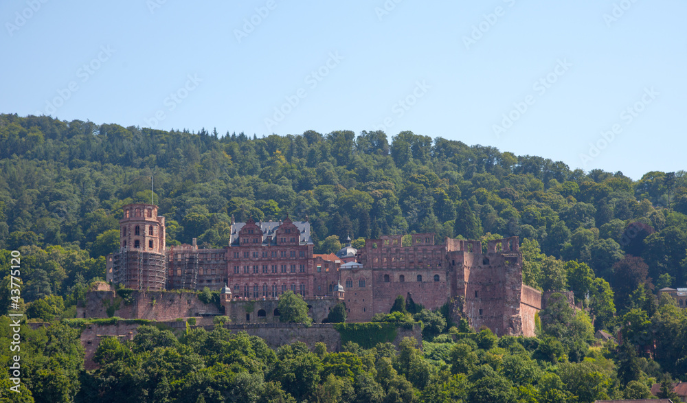 Heidelberger Schloss im Sommer