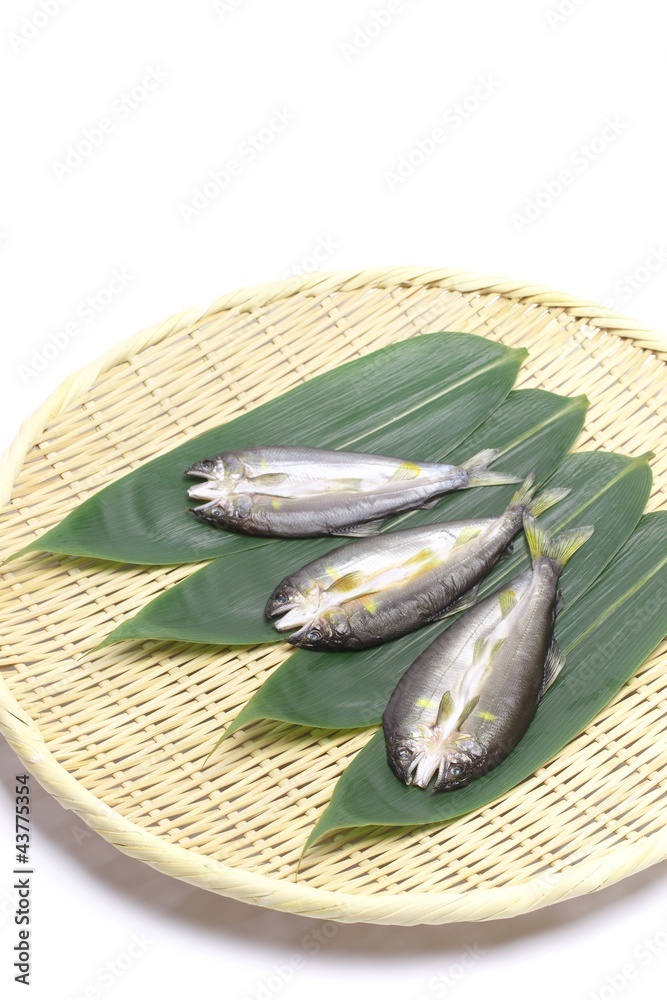 鮎の一夜干し 鮎の一夜干し