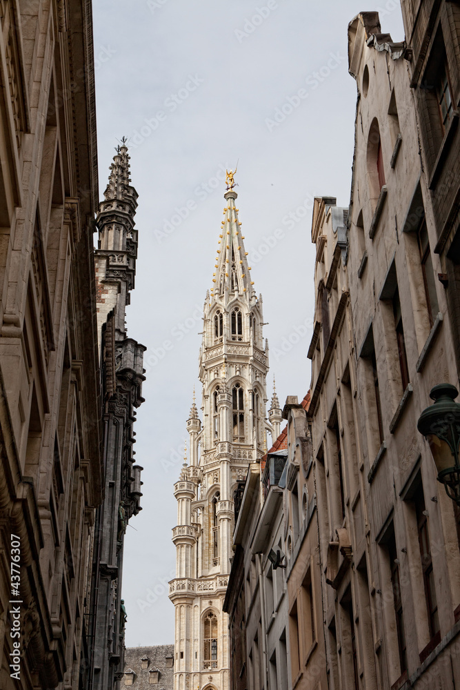 Capital of Belgium-Brussels. City views