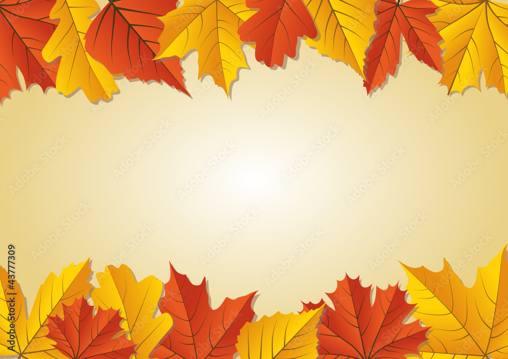 Fototapeta premium Herbstblätter