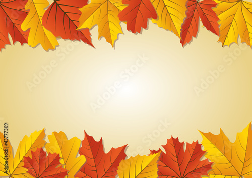 Herbstblätter