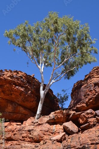 Kings Canyon