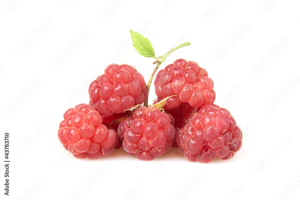 raspberries